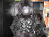 sub-halloween2005 017.jpg (71047 bytes)